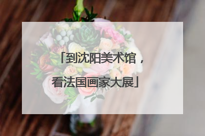 到沈阳美术馆，看法国画家大展