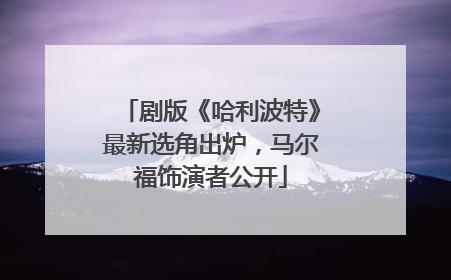 剧版《哈利波特》最新选角出炉，马尔福饰演者公开