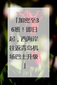 加密至36班！即日起，西海岸往返青岛机场巴士升级