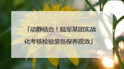 动静结合！陆军某团实战化考核检验装备保养质效