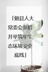 勉县人大常委会多措并举筑牢生态环境安全底线
