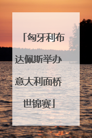 匈牙利布达佩斯举办意大利面桥世锦赛