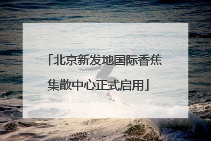 北京新发地国际香蕉集散中心正式启用