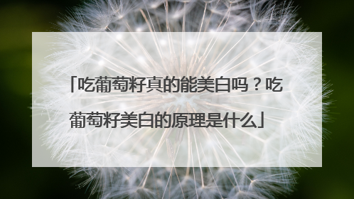吃葡萄籽真的能美白吗？吃葡萄籽美白的原理是什么