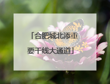 合肥城北添重要干线大通道