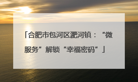 合肥市包河区淝河镇：“微服务”解锁“幸福密码”