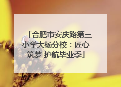 合肥市安庆路第三小学大杨分校：匠心筑梦 护航毕业季