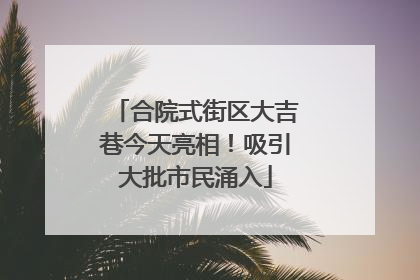 合院式街区大吉巷今天亮相！吸引大批市民涌入