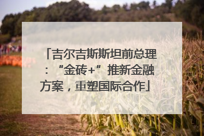 吉尔吉斯斯坦前总理：“金砖+”推新金融方案，重塑国际合作