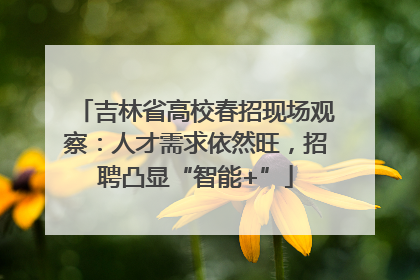 吉林省高校春招现场观察：人才需求依然旺，招聘凸显“智能+”