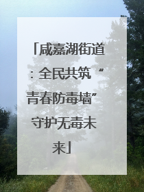 咸嘉湖街道：全民共筑“青春防毒墙” 守护无毒未来
