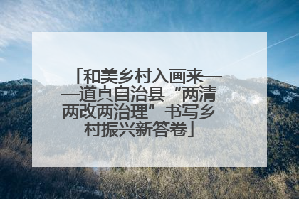 和美乡村入画来——道真自治县“两清两改两治理”书写乡村振兴新答卷