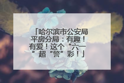 哈尔滨市公安局平房分局：有趣！有爱！这个“六一”超“警”彩！