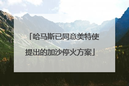 哈马斯已同意美特使提出的加沙停火方案