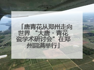 唐青花从郑州走向世界 “大唐・青花瓷学术研讨会”在郑州圆满举行