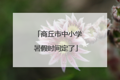 商丘市中小学暑假时间定了