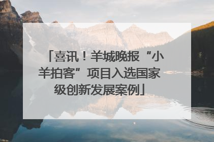喜讯！羊城晚报“小羊拍客”项目入选国家级创新发展案例