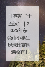 喜迎“十五运”｜2025年东莞市小学生足球比赛圆满收官