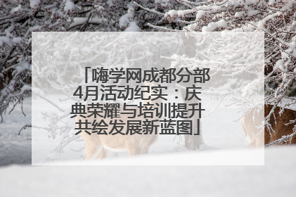 嗨学网成都分部4月活动纪实：庆典荣耀与培训提升共绘发展新蓝图