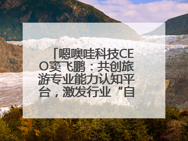 嗯噢哇科技CEO窦飞鹏：共创旅游专业能力认知平台，激发行业“自生长”力量