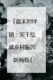 嘉禾坦坪镇：实干绘就乡村振兴新画卷