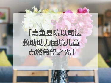 嘉鱼县院以司法救助助力困境儿童点燃希望之光