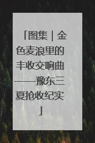 图集｜金色麦浪里的丰收交响曲——豫东三夏抢收纪实