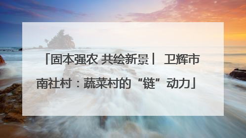 固本强农 共绘新景 ︳卫辉市南社村：蔬菜村的“链”动力
