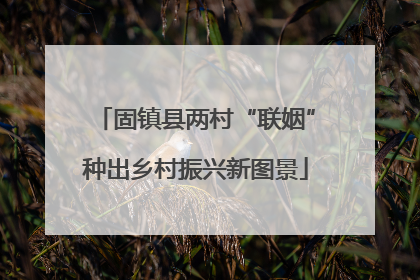 固镇县两村“联姻”种出乡村振兴新图景