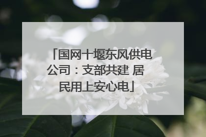 国网十堰东风供电公司：支部共建 居民用上安心电