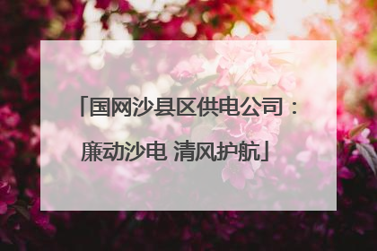 国网沙县区供电公司：廉动沙电 清风护航