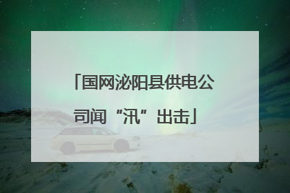 国网泌阳县供电公司闻“汛”出击