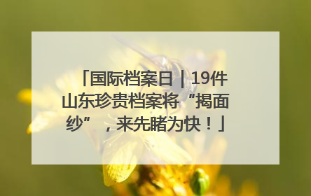 国际档案日｜19件山东珍贵档案将“揭面纱”，来先睹为快！