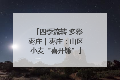 四季流转 多彩枣庄｜枣庄：山区小麦“喜开镰”