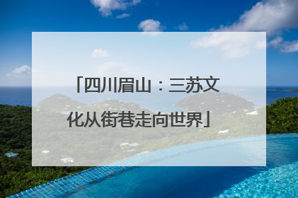 四川眉山：三苏文化从街巷走向世界