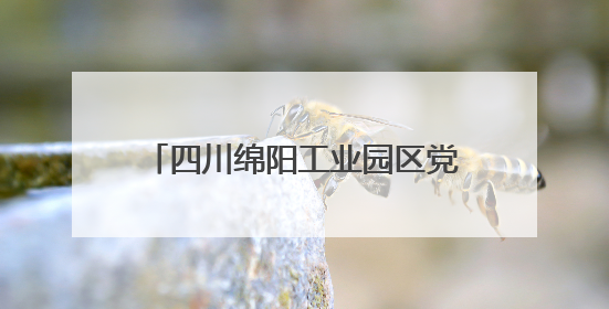 四川绵阳工业园区党工委副书记、纪检监察工委书记李玉琼接受纪律审查和监察调查