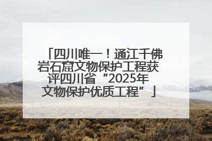 四川唯一！通江千佛岩石窟文物保护工程获评四川省“2025年文物保护优质工程”