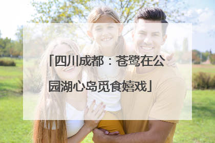 四川成都：苍鹭在公园湖心岛觅食嬉戏