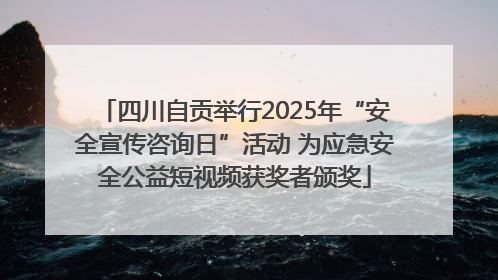 四川自贡举行2025年“安全宣传咨询日”活动 为应急安全公益短视频获奖者颁奖