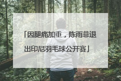 因腿痛加重，陈雨菲退出印尼羽毛球公开赛
