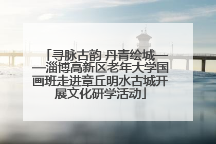 寻脉古韵 丹青绘城——淄博高新区老年大学国画班走进章丘明水古城开展文化研学活动