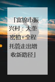 富锦市振兴村：大垄密植+全程托管走出增收新路径