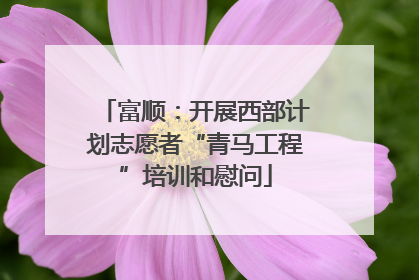 富顺：开展西部计划志愿者“青马工程”培训和慰问