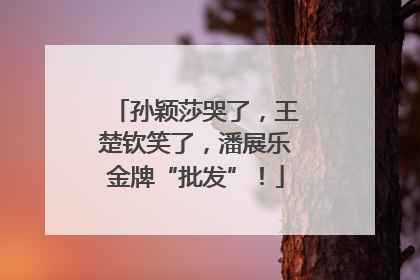 孙颖莎哭了，王楚钦笑了，潘展乐金牌“批发”！