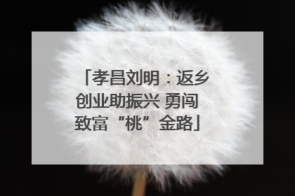 孝昌刘明：返乡创业助振兴 勇闯致富“桃”金路