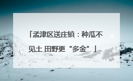 孟津区送庄镇：种瓜不见土 田野更“多金”