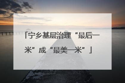 宁乡基层治理“最后一米”成“最美一米”