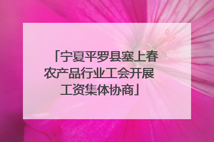 宁夏平罗县塞上春农产品行业工会开展工资集体协商