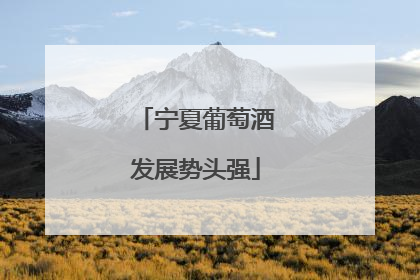 宁夏葡萄酒发展势头强
