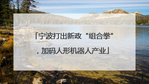 宁波打出新政“组合拳”，加码人形机器人产业
